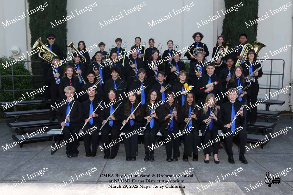 Musical Images